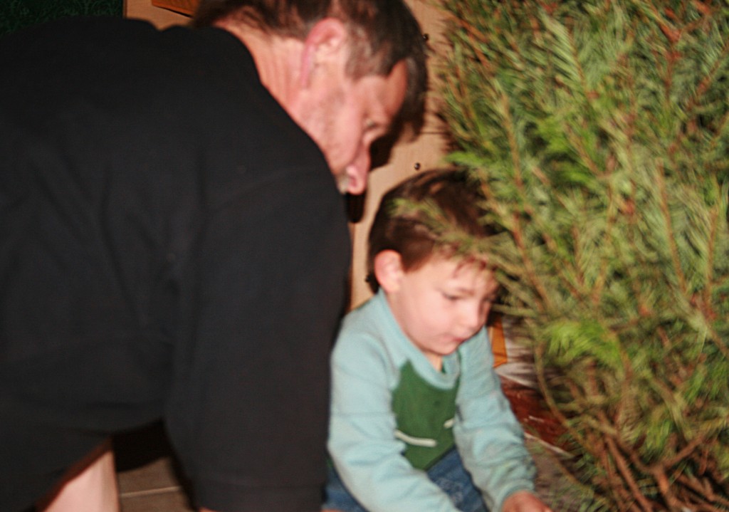 Paul helped Papa set the tree up.