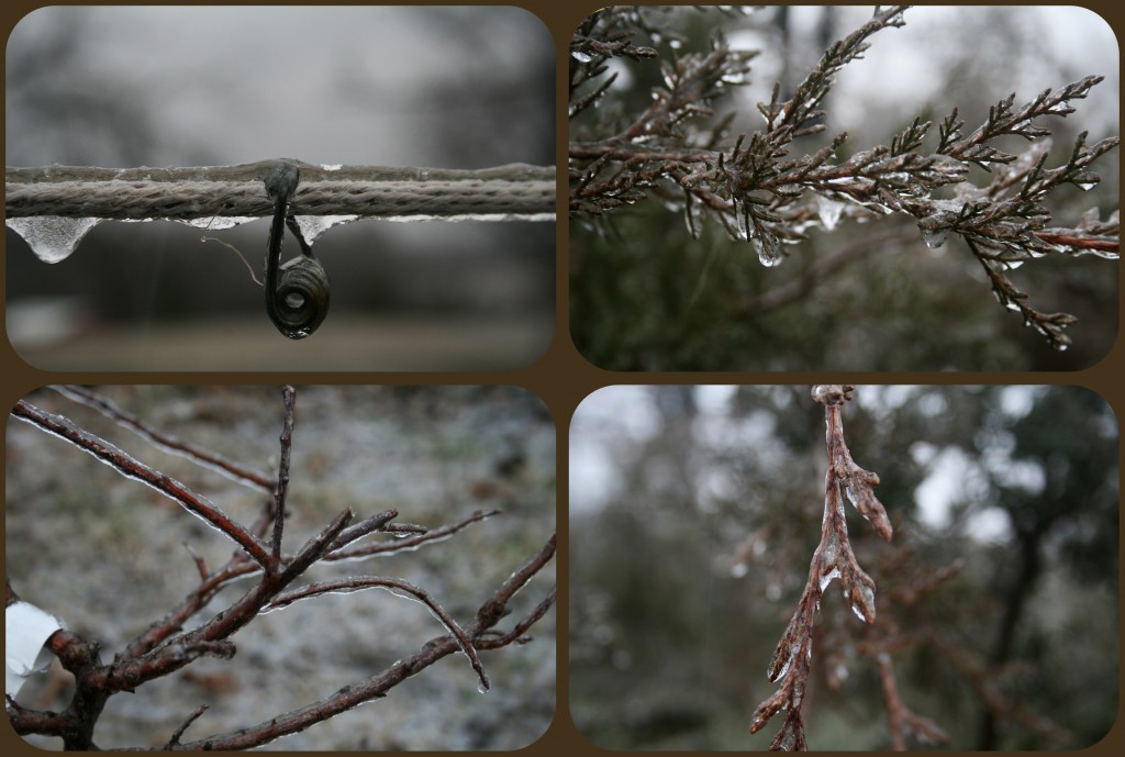 There was some beautiful ice art! 