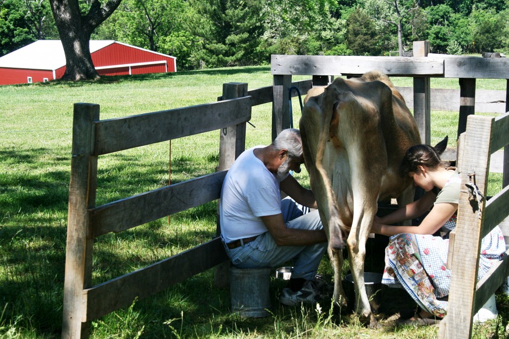 Granddaddy milked with me one morning.  Sweet times. <3 