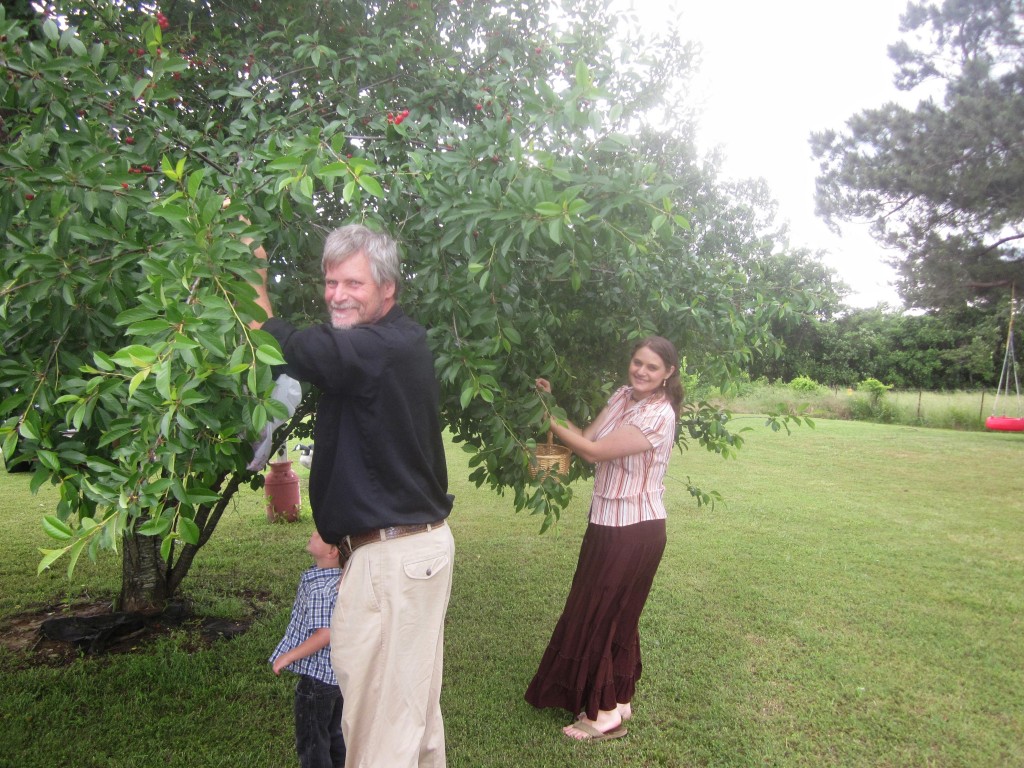 Cherries are one of daddy's favorite fruits! 