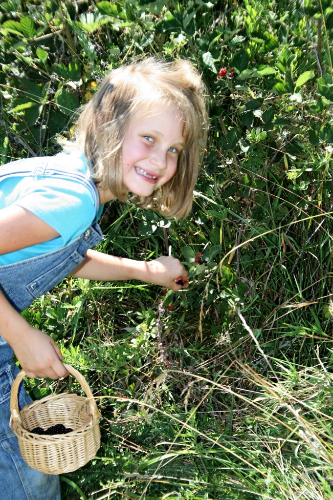 Picking blackberries! 