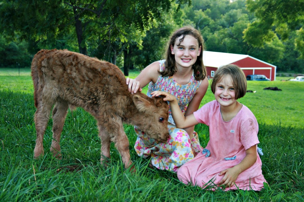 Rose and Emma with the new calf, Mercy.