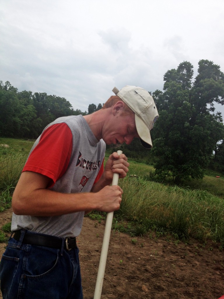 Planting corn. 