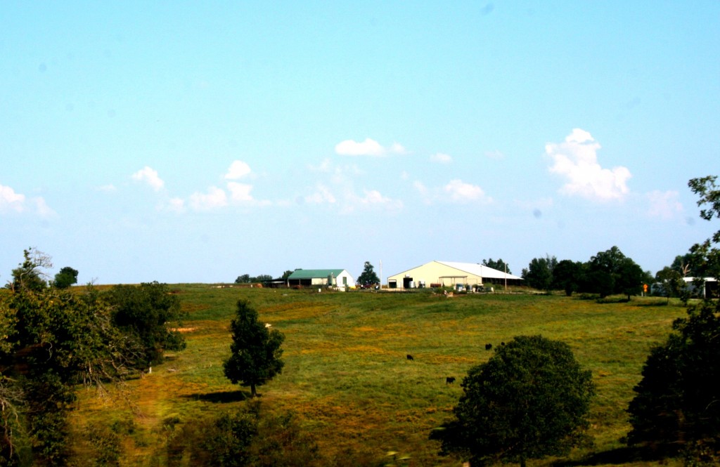 Crawford dairy in Mammoth. 