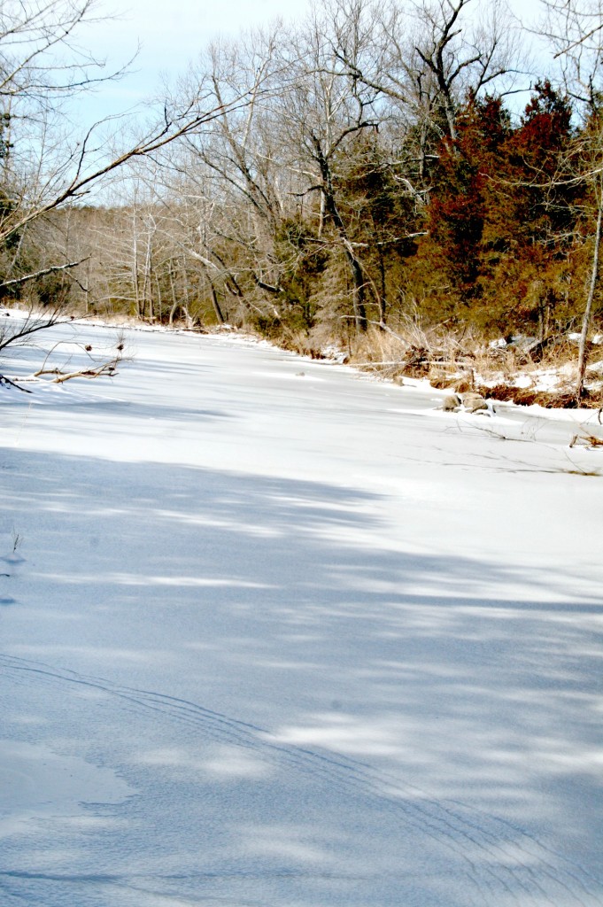 The whole creek was frozen. It was awesome!