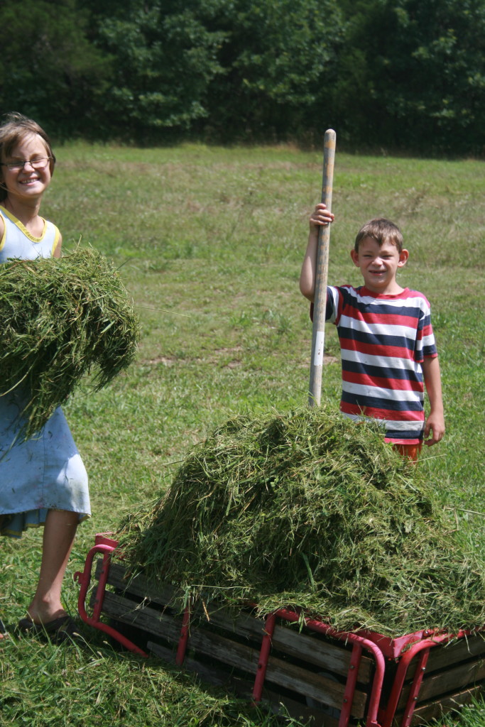 Little Farm Hands!