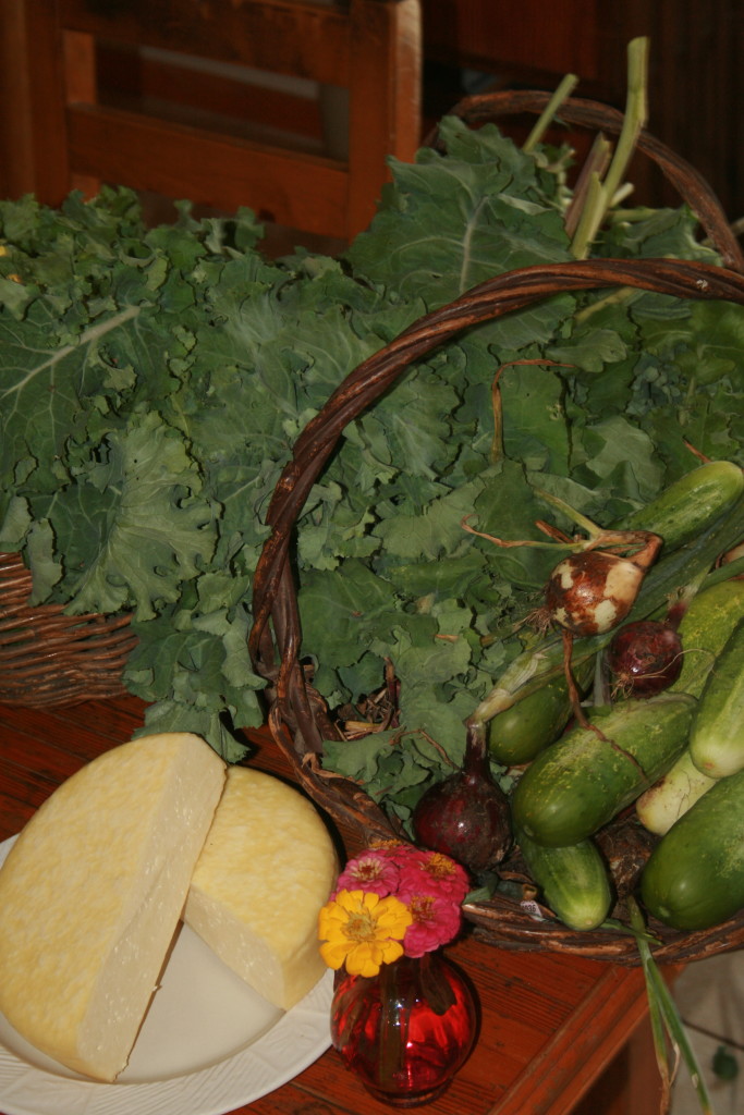 This afternoons harvest (with some curing cheddar thrown in! ) 